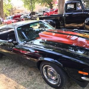 Meet your Posher, Darrin